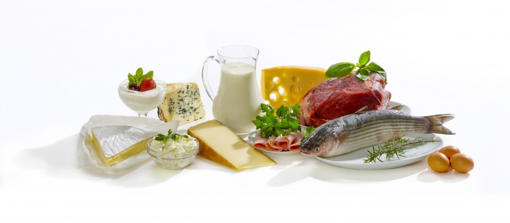 cheap protein